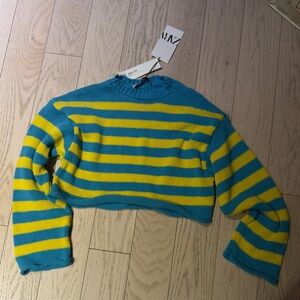 NWT RARE Zara Striped Blue and Yellow Sweater